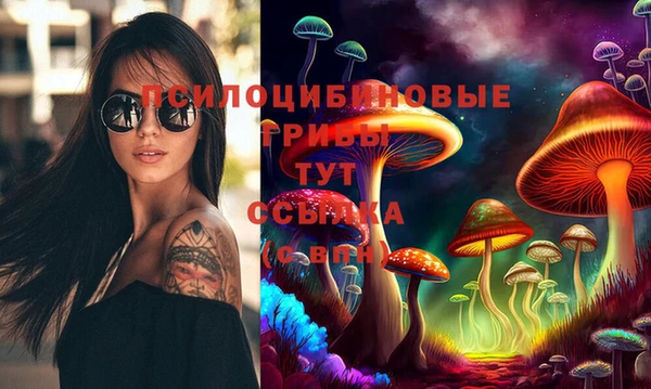 МДПВ Каменногорск
