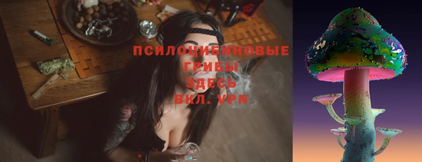 МДПВ Каменногорск