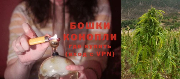 МДПВ Каменногорск