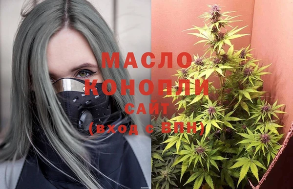 МДПВ Каменногорск