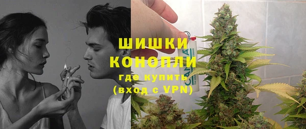 МДПВ Каменногорск