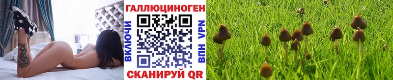 Галлюциногенные грибы ЛСД  Плавск 