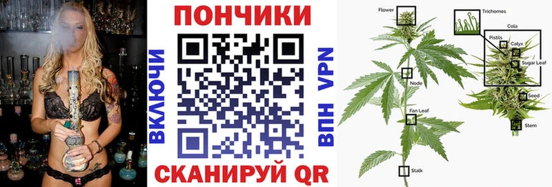 Бошки марихуана план  mega ссылки  Плавск  купить наркоту 